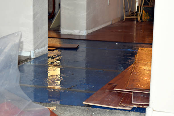 Professional Water Damage Restoration technician working in Goldsmith, TX